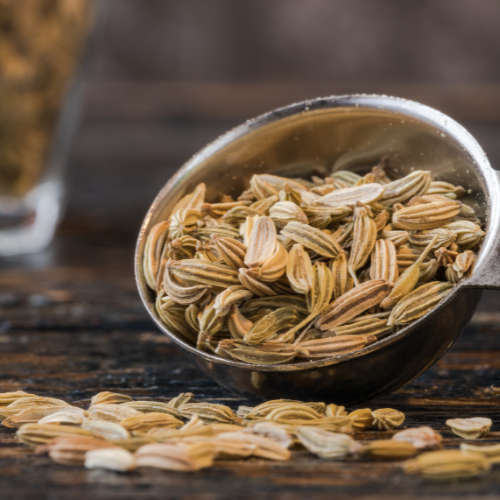 Fennel Essential Oil - 11ml (NA)