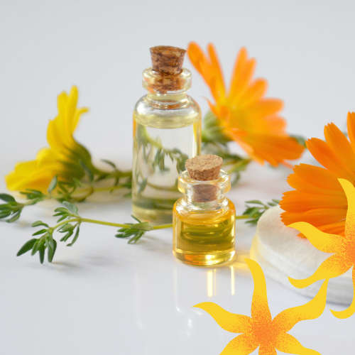 Ylang Ylang Essential Oil - 10ml (W)