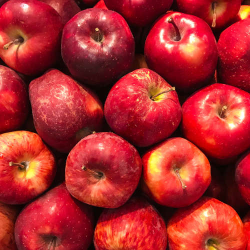 Apple Fragrance Oil - 500ml