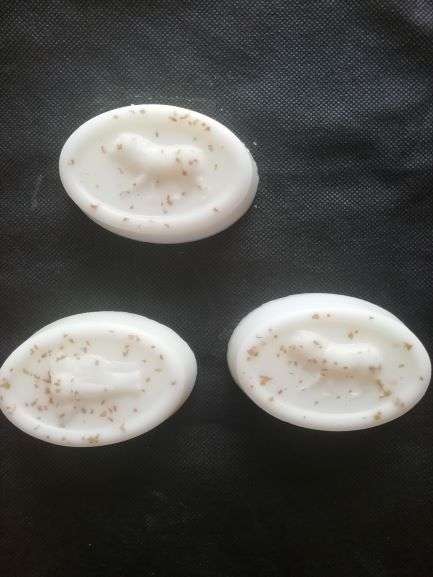 PVC Wildlife Mould - DH03