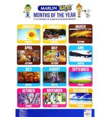 Bunny Paw Prints (30cm, 6 piece)