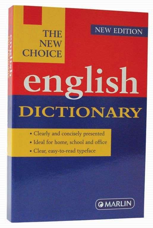 Playmobil Series 13 Figure - Boys