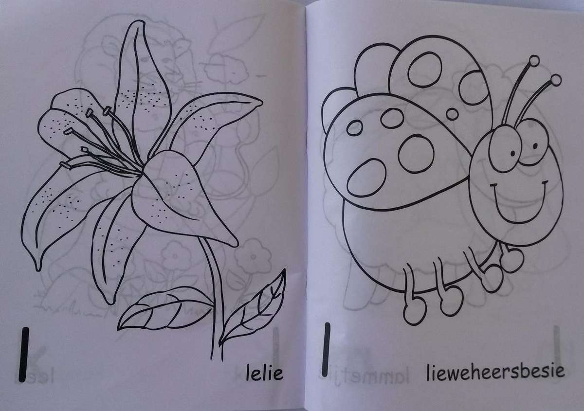 HP Office Paper (A4, 80gsm, 500 sheets)