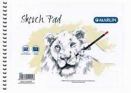 Statesman Educational Wall Chart / Poster -  Dinosaurs