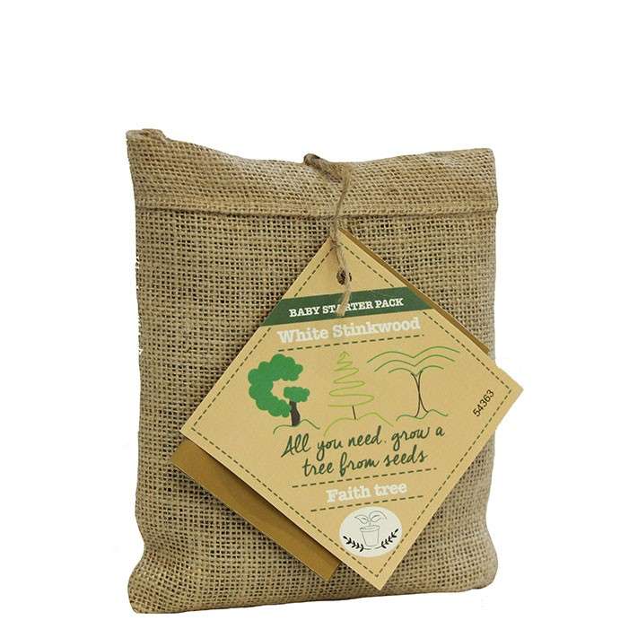 LEGO Disney Anna and Elsa's Storybook Adventures