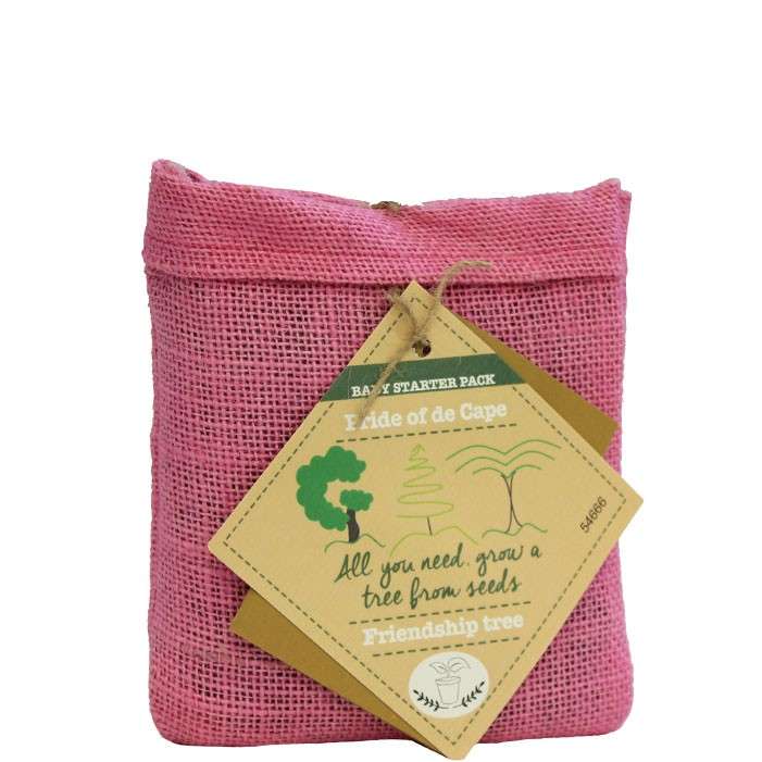 LEGO Disney Anna and Elsa's Storybook Adventures