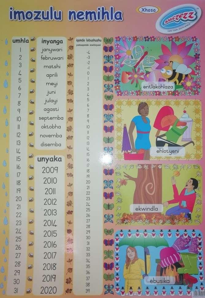 Hot Wheels - Beach Ball