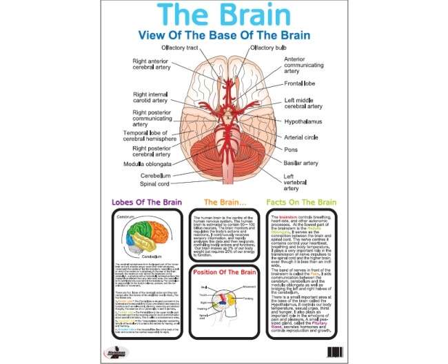 Hot Wheels - Beach Ball