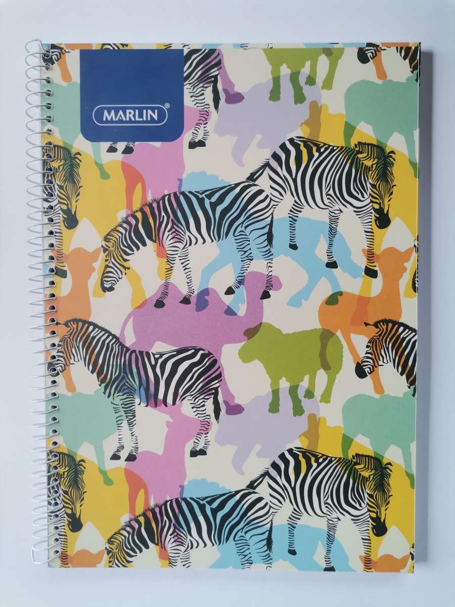 Our Generation - Deluxe Doll - Naya' Read and Play Set