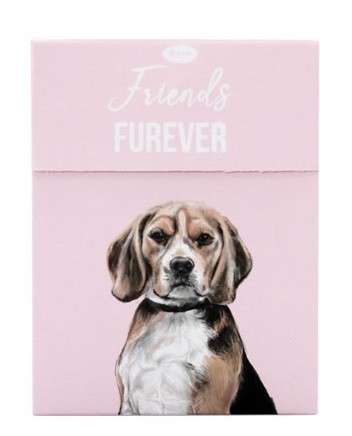 LEGO Super Heroes - Mighty Micros: Wolverine Vs. Magneto