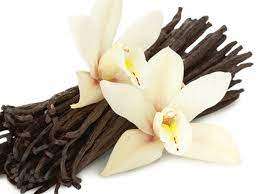 Vanilla  Black Flavour 8146/M
