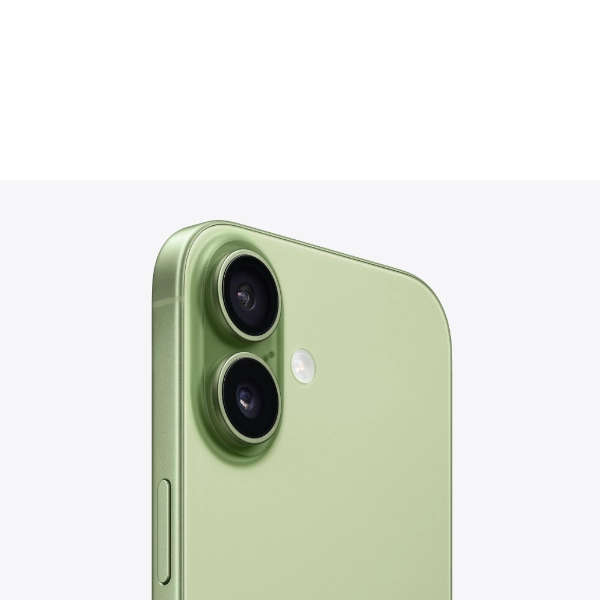 Apple iPhone 17  Sage (256GB)