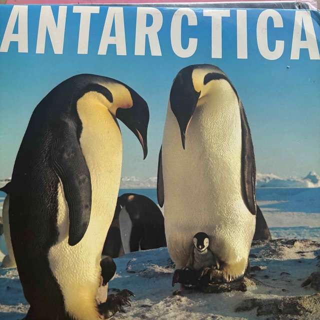 Antarctica  : LP Cond. = VG