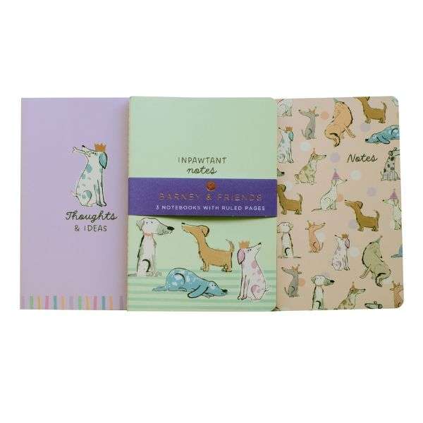 Notebook A5 3 Pack Barney and Friends