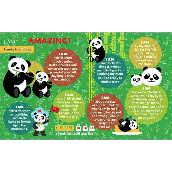MADD CAPP I Am Panda Puzzle 24Pc