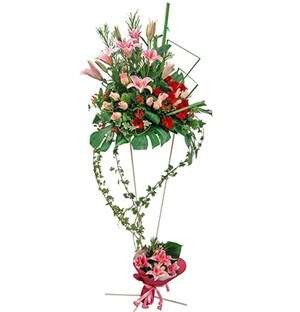 Grand Opening Spectacular Brilliance