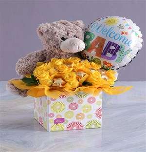 Welcome Baby Edible Arrangement