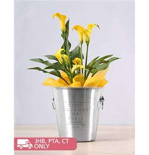 Yellow Zantedeschia Ice Bucket