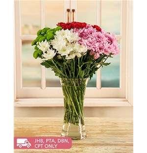 Daisy Dreams Arrangements