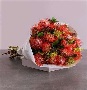 Pincushion Protea Bouquet