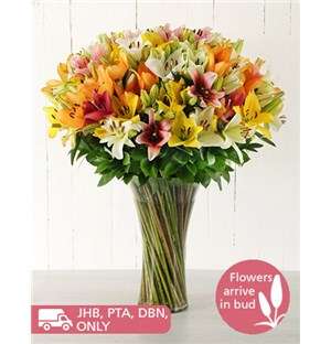 Mixed Asiflorum Lily Supreme Vase