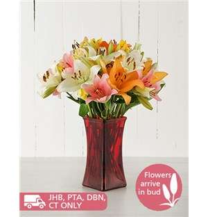 Mixed Asiflorum Lilies in Red Vase