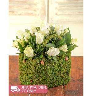Cream Roses in a Moss Basket