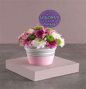 Unicorn Sprays In Ceramic Pot