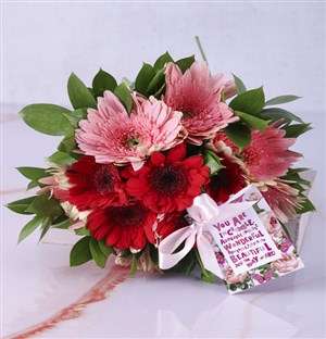 Glorious Gala Of Gerberas