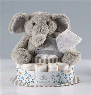 Personalised Clothes and Elephant Nappy Cake