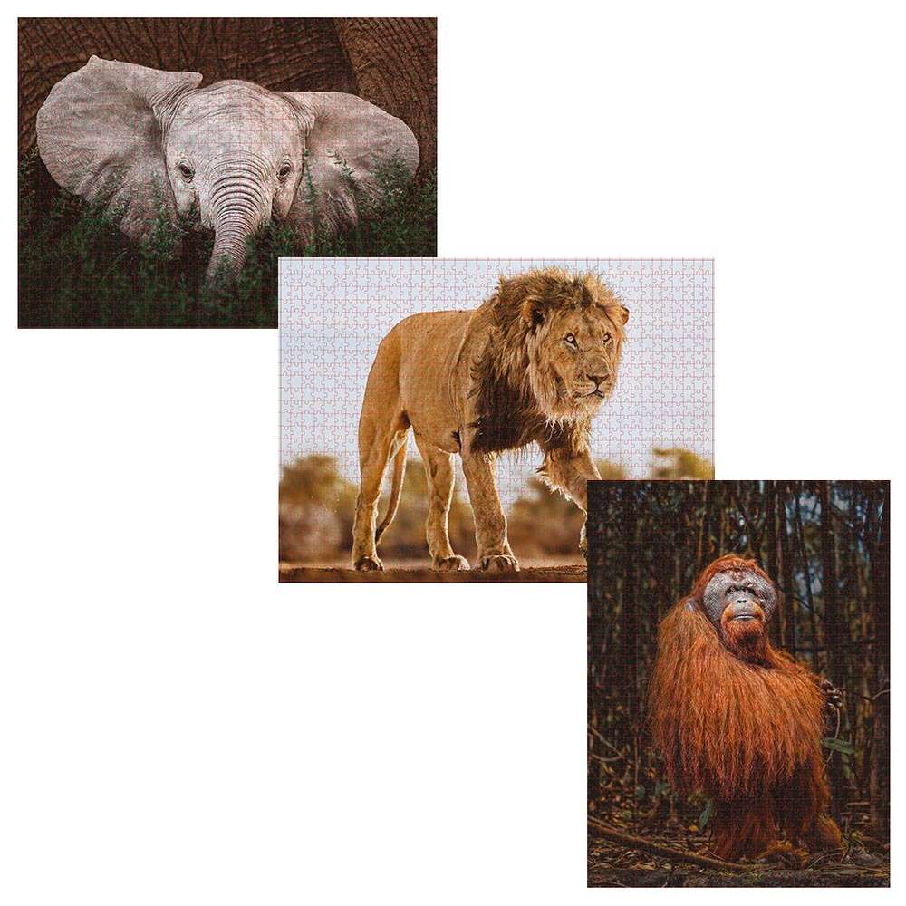 Ambassador - Photographers Collection: 3 x 1000 Piece Puzzle Bundle - Into the Wild