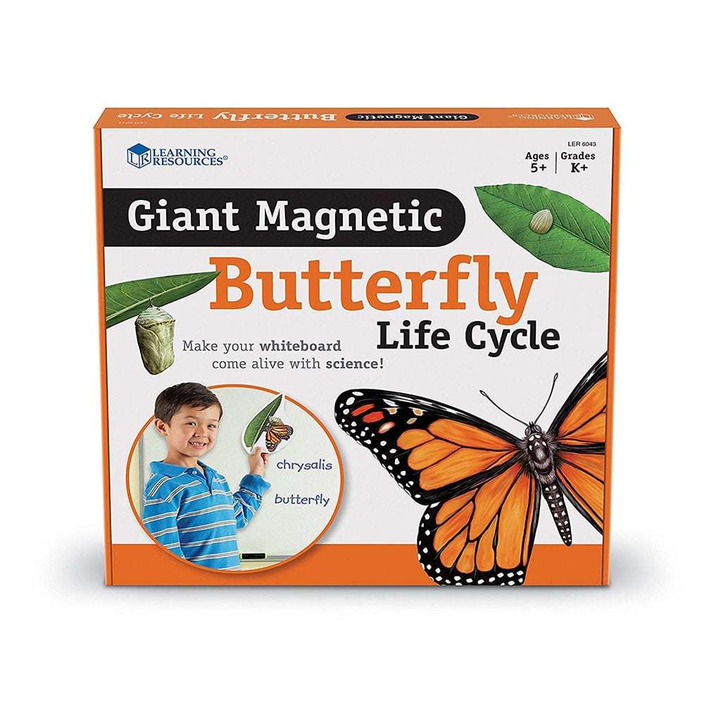 Learning Resources - Giant Magnetic Butterfly Life Cycle: Classroom Science Demo Set