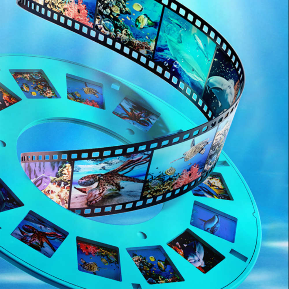 Mideer - 3D Filmscope Picture Viewer - Educational Exploration Set