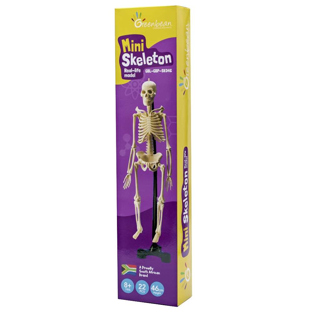 Greenbean - Mini Skeleton