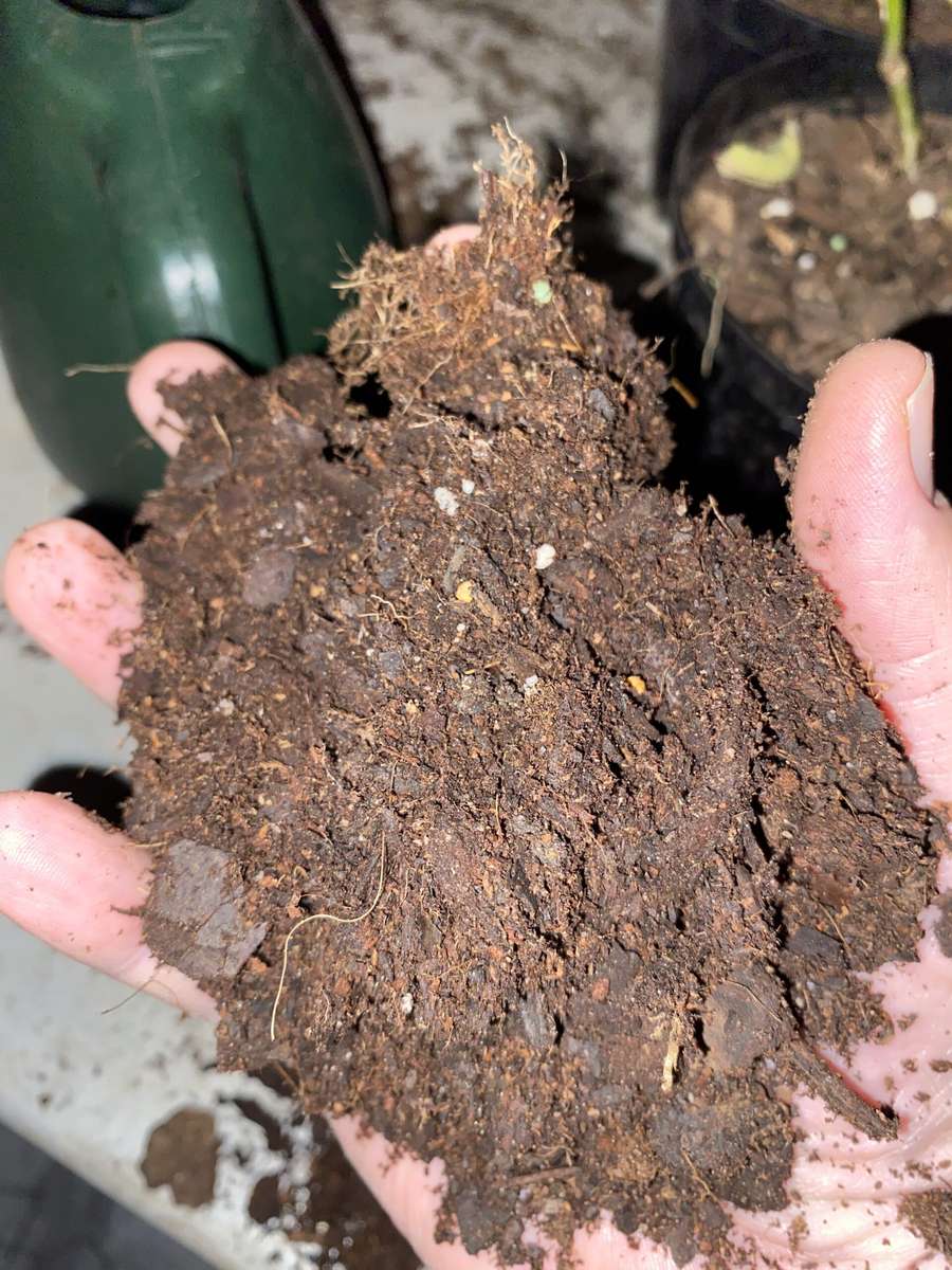 Indoor Potting Soil 1 - 3 kg Bags | Indoor Plants |