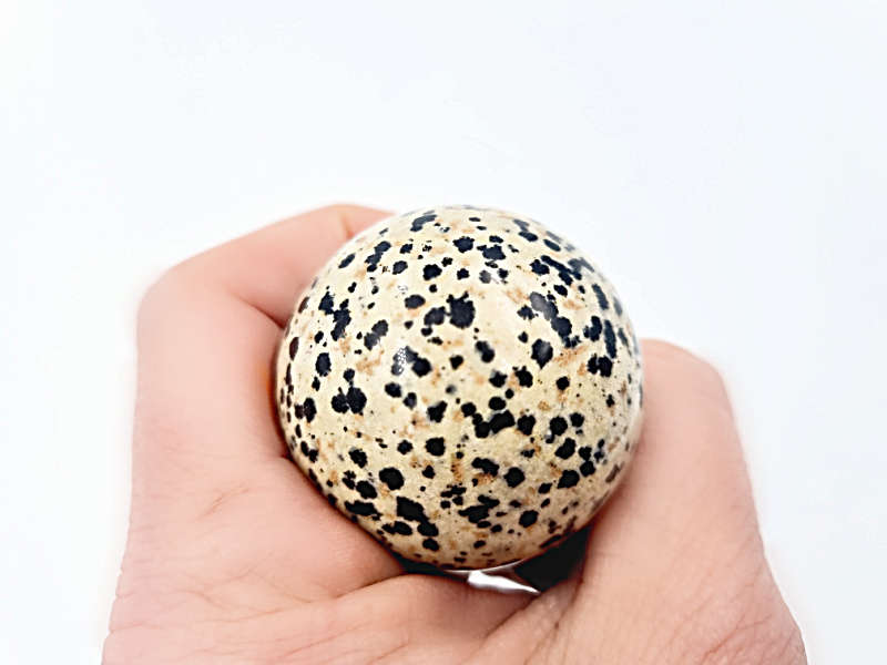 Dalmatian Jasper Sphere (12cm)