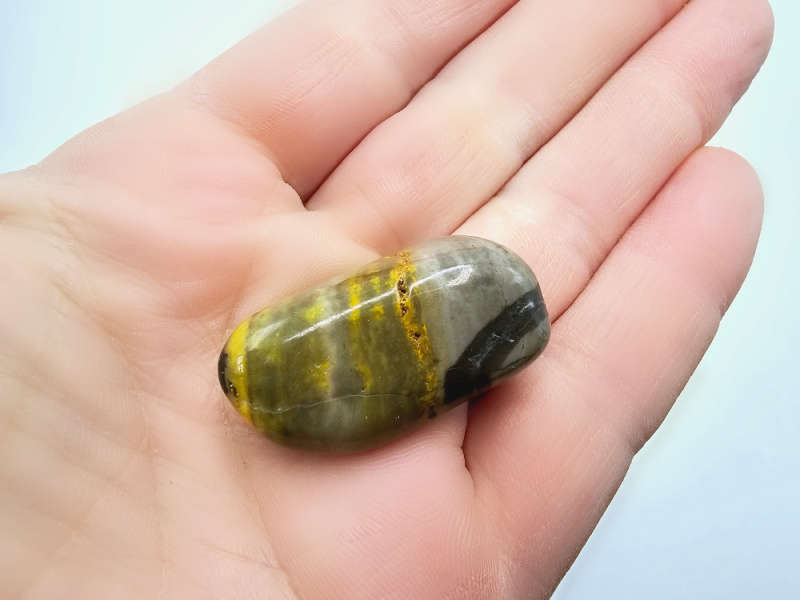 Bumble Bee Jasper B (12g)
