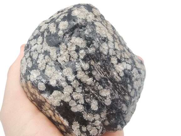 Snowflake Obsidian Rough C (642g)