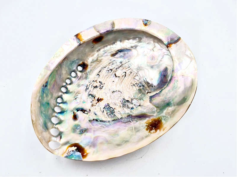 Polished Abalone Shell For Smudging Large