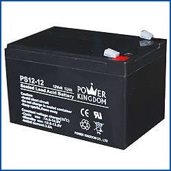 Power Kingdom 12 - 12V Battery