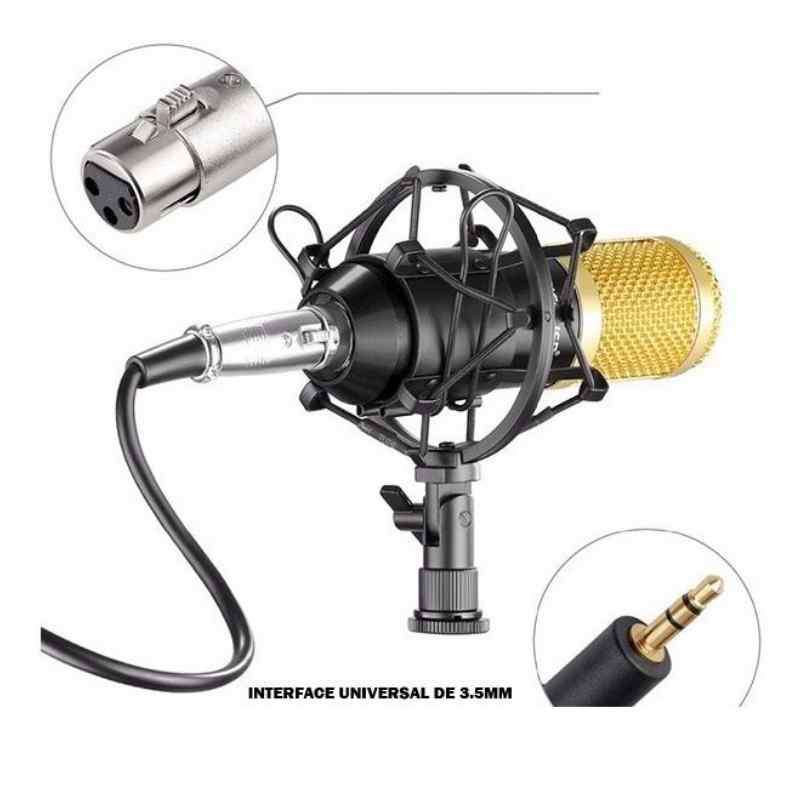 Professional Condenser Studio Microphone ST-225