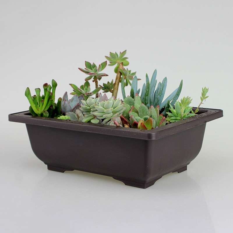 Large Size Flower Pot Rectangle Bonsai Nursery Balcony Garden Container