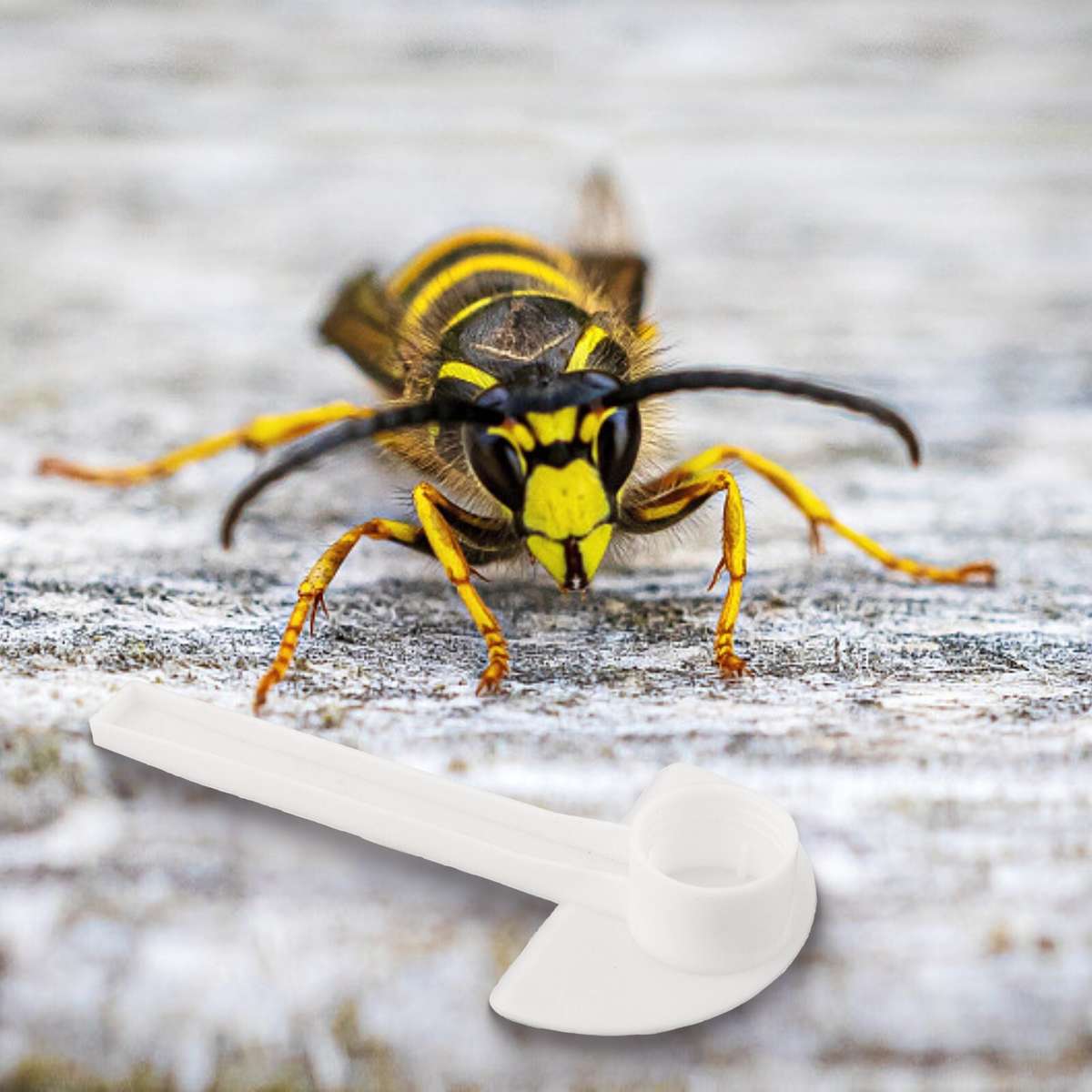 40Pc Bee Feeder Water Drink Feeding For Beekeeper For Beekeeping Apiculture-Too