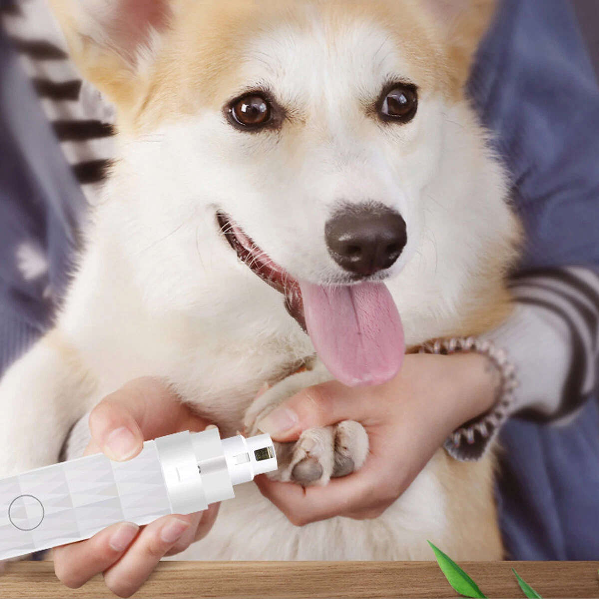Electric Pet Nail Grinder for Pets