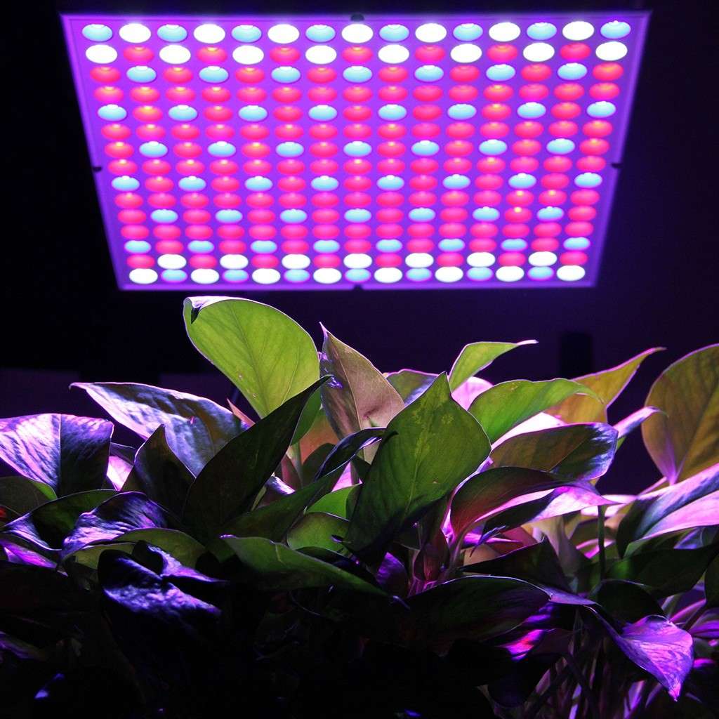 14W LED Plant Grow Light Panel Full Spectrum for Indoor Plants Veg and Flower