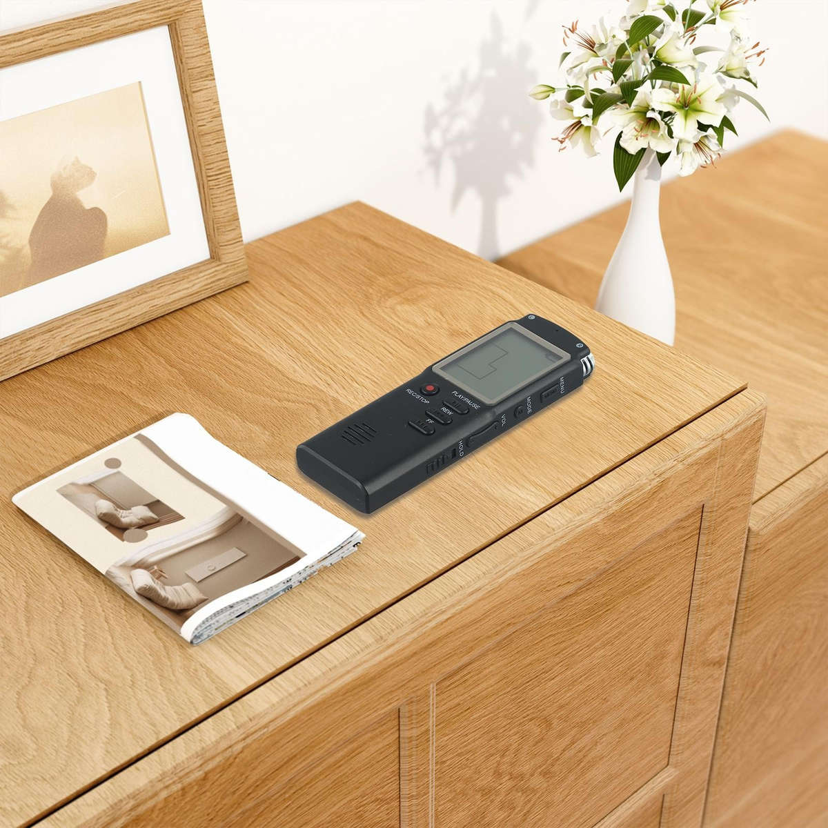 Professional USB Dictaphone Voice Recorder With WAV MP3 Player Functionality