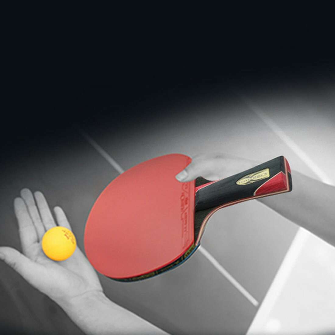 Single Professional Training Carbon Table Tennis Bat Racket Ping-Pong Paddle