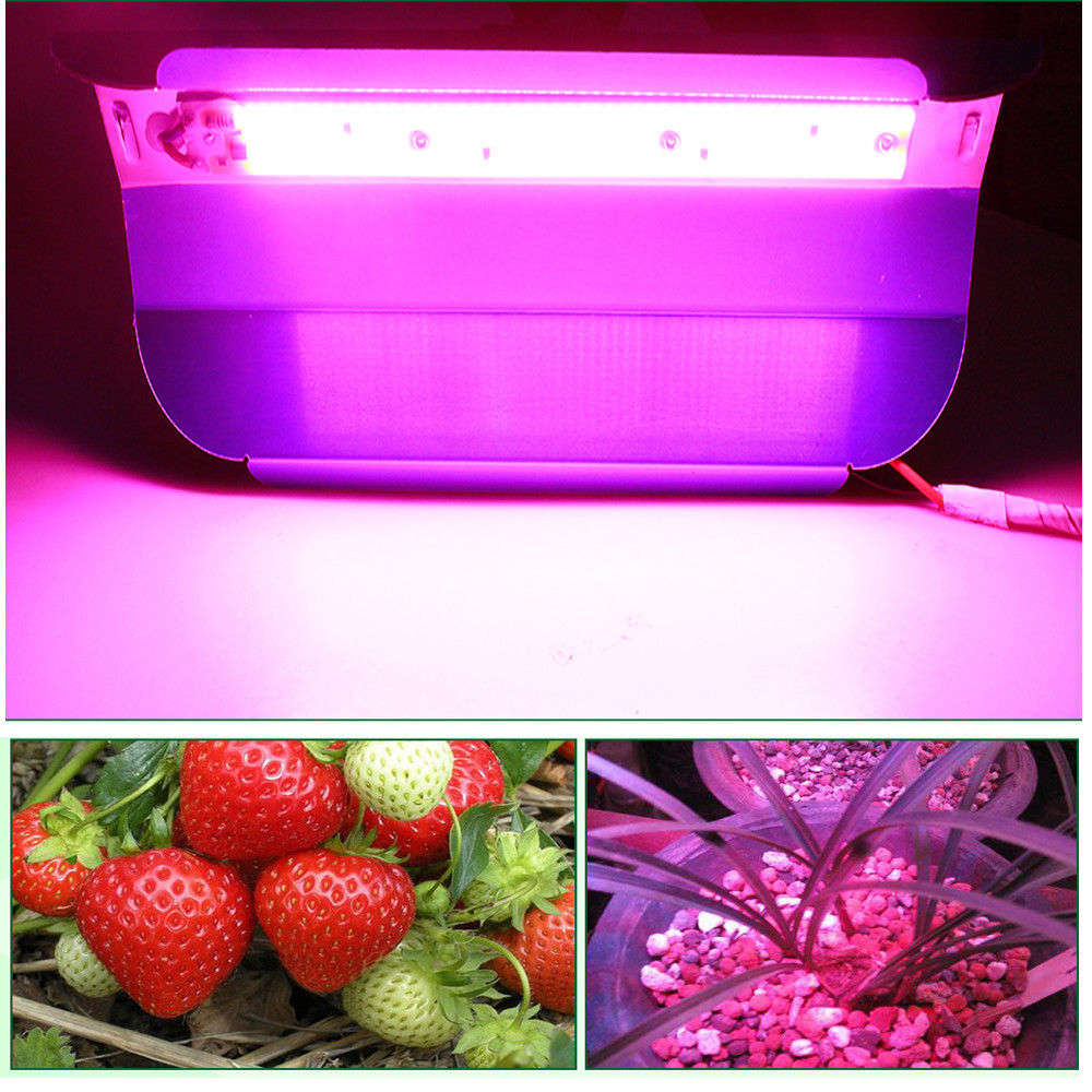 50W COB LED Grow Light Full Spectrum IP67 Waterproof Plant Flower Vegetable Lamp