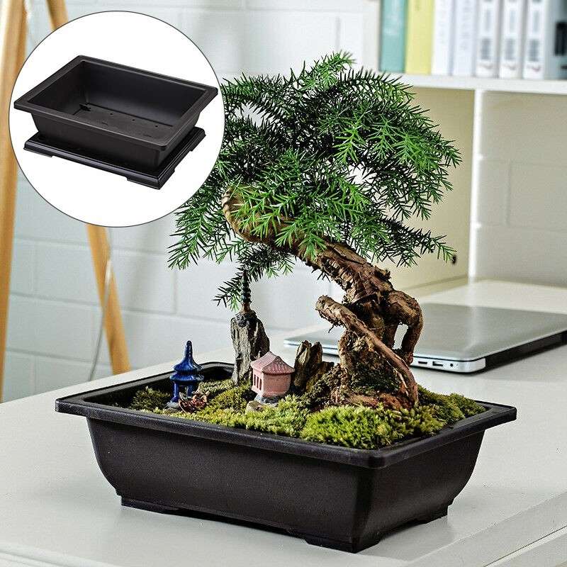 Large Size Flower Pot Rectangle Bonsai Nursery Balcony Garden Container