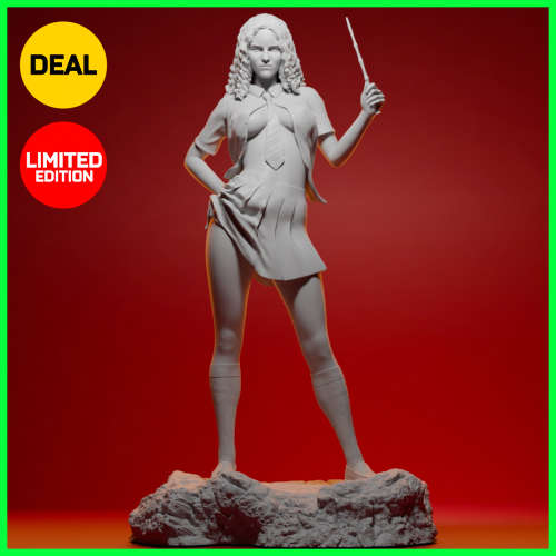 Harry Potter : Hermione Granger - Twisted Fantasy Series - Limited Edition